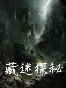 藏迷探秘免费阅读入口