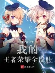王者荣耀全皮肤db
