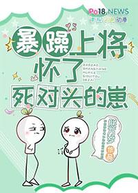 暴躁上将的男秘