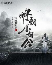 明朝小公爷
