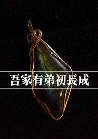 吾家有弟初长成怎么接