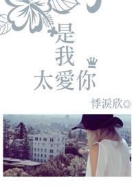 是我太过爱你是哪首歌的歌词