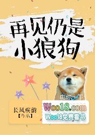 再见面仍是小狼狗免费阅读