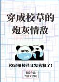 穿成校草的炮灰情敌简介