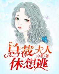 总裁夫人休想逃动漫